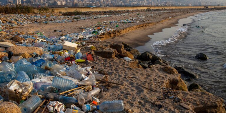 Eco-rouw