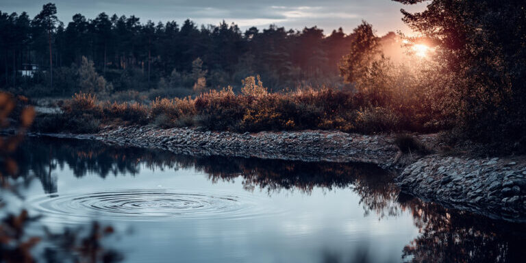 Een meertje in de vroege ochtend