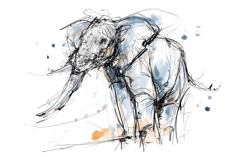Olifant